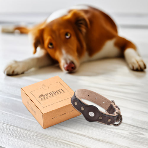 Full-Grain Leather Airtag Collar — Screw-Locked Slot