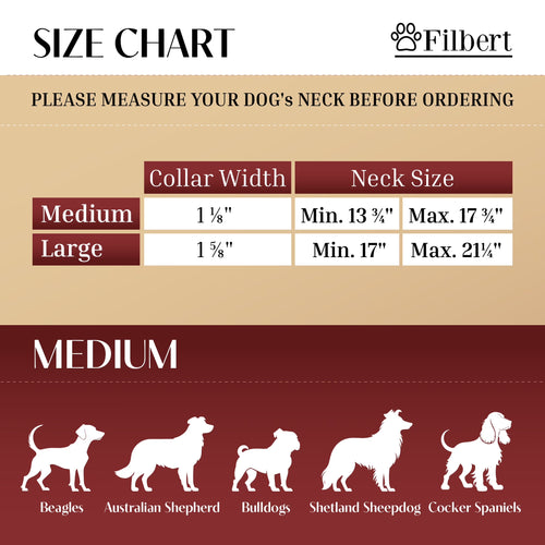 Full-Grain Leather Airtag Collar — Screw-Locked Slot