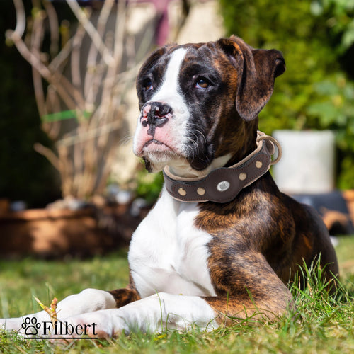 Full-Grain Leather Airtag Collar — Screw-Locked Slot
