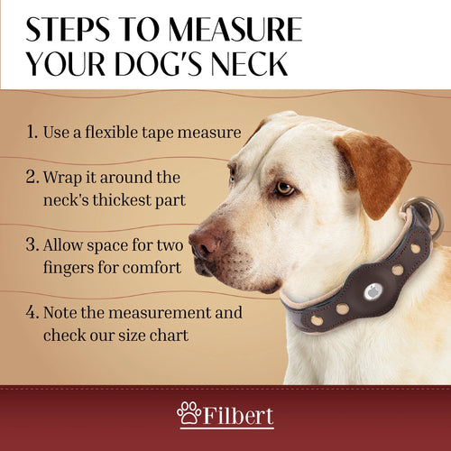 Full-Grain Leather Airtag Collar — Screw-Locked Slot